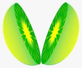 Lemon Slice Cut Image - One Half Fraction Clipart