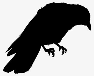 Crow Png 14, Buy Clip Art - Corvo Disegno