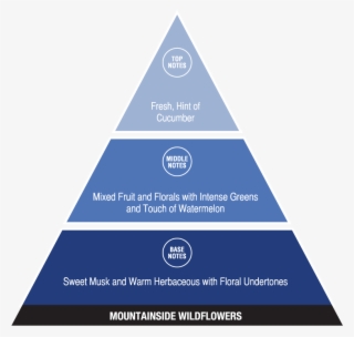 Mountainside Wildflowers - Social Structure Of The Usa