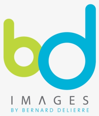 Bd Logo Png
