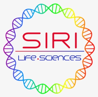 See Users Behance Profile - Circle