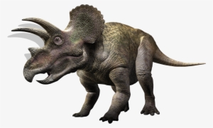 Triceratoppings - Triceratops Hd Transparent