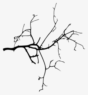 Tree Branches Silhouette At Getdrawings - Tree Branch Png Hd