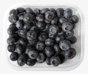 Arándanos - European Blueberry