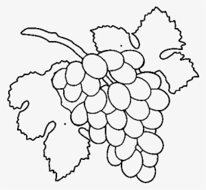 Grape