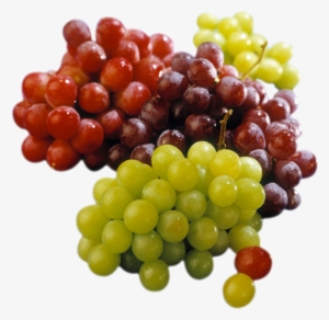 E Médica Assistente Do Incor , Silmara Regina Coimbra, - Alimentos Anti Inflamatórios