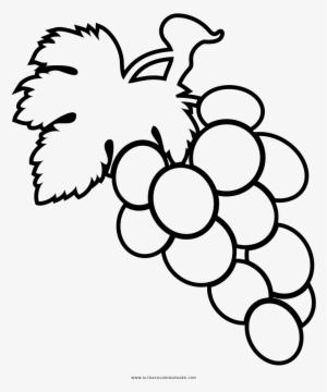 Dibujo De Uvas Para Colorear Ultra Coloring Pages Noticeable - Simbolos Da Pascoa Desenhos