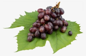 Grape