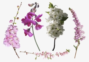 Photoshop Overlays, Photoshop Actions, Photoshop Tutorial, - Overlay Transparent Flowers