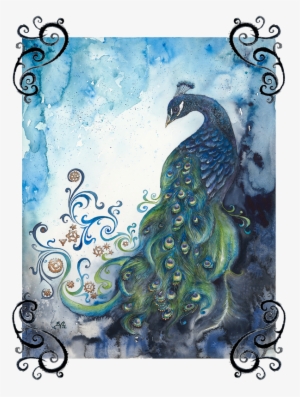 Seattle-based Artist And Curator Specialising In Original - Peafowl