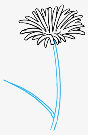 How To Draw Dandelion - Drawing