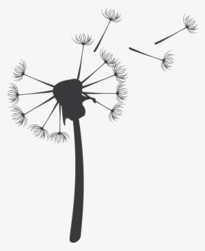 Allergies - Teasel