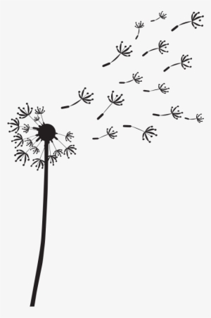 Vinilo Decorativo Naturaleza, "diente De León" Dandelion - Diente De Leon Vinil