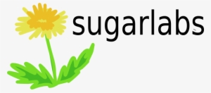 Dandelions Sprout Just About Everywhere - Sunflower