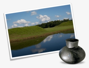 Shark Teeth, Pows & The Lost Realm Of The Black Warrior - Alabama
