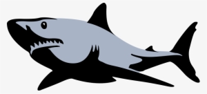 Shark Png Images