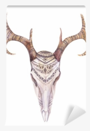 Watercolor Skull With Flowers , Arrows And Feathers - Cow Boho Animal Painting