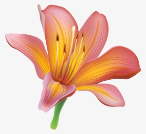 Lily Flower Clipart Web Png - Lily Clipart