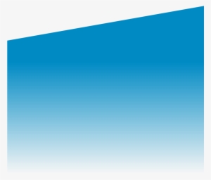 Wingtip Brewing - Blue