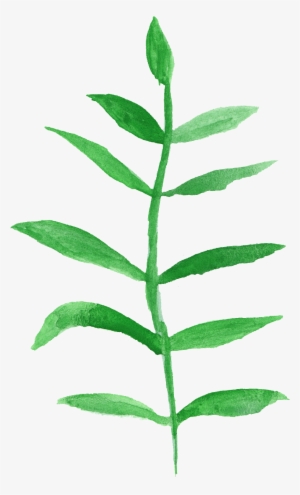 Free Download - Watercolor Painting