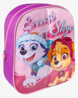 Winter Blanket The Paw Patrol 518