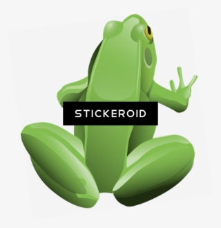 Frog Animals - Back Of A Frog Cartoon