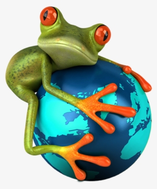 Feature2-image - Grenouille Sur La Terre