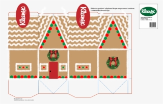 Kleenex Holiday Tissue Box Done On Adobe Illustrator