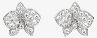 Caresse D'orchidées Par Cartier Earringswhite Gold, - Cartier Caresse D Orchidees Earrings