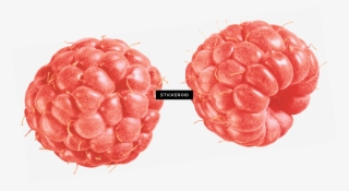 Raspberry Duo Vintage - Portable Network Graphics