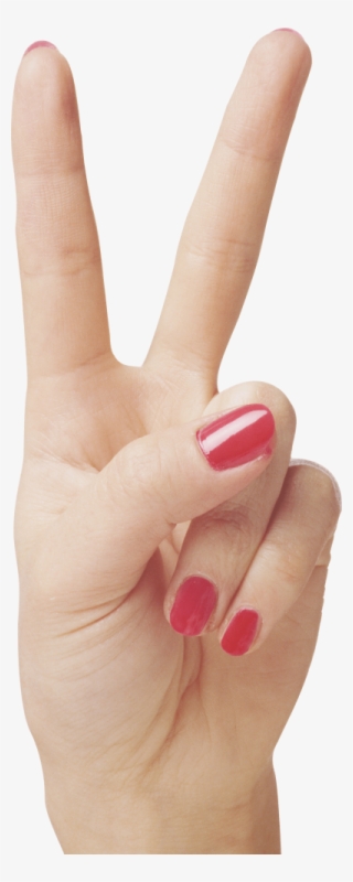 Hands Png Hand Image - Hand Hand Png