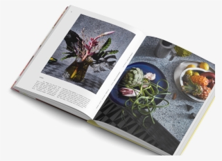 Visual Feast Food Photography Gestalten Book - Book