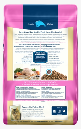 Sensitive Stomach Formula Dry Cat Food