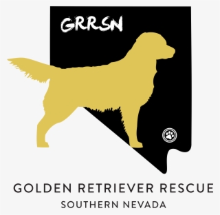 Golden Retriever Rescue Southern Nevada - Golden Retriever