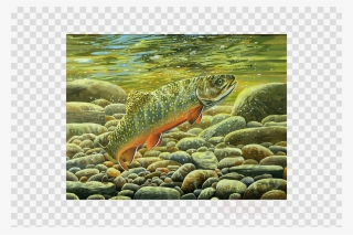 Trout In Water Clipart Salmon Brook Trout - Wrigley Field