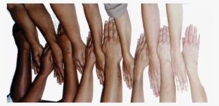 Transparent Skin In Humans