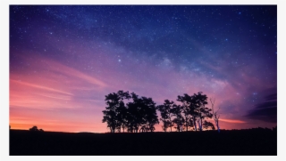 Score 50% - Maximus Aura 66 Price In Bangladesh