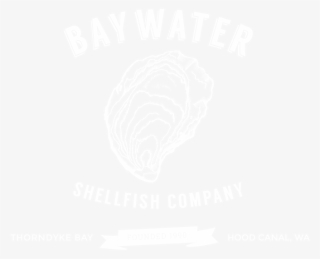 Enjoy Baywater Sweet Oysters From Thorndyke Bay - Baywater Shellfish