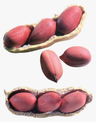 Peanut