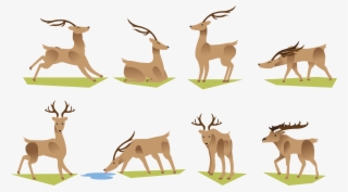 Cartoon Deer Grazing Transprent - Drawings Of Deer Grazing