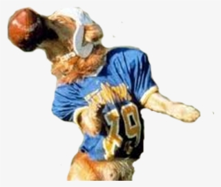 Touchdown - Air Bud Png