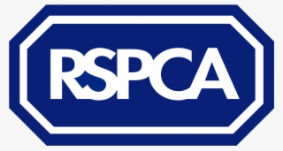 Rspca Animal Shelter 360 Walkthrough - Royal Society For The Prevention Of Cruelty