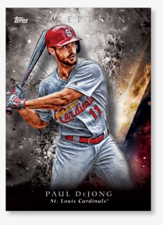 Close Zoom - Baseball