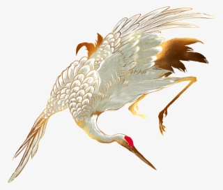 White Crane Transparent - 鶴 素材