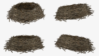 Гнездо Png