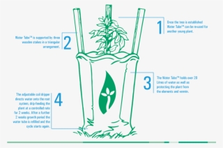 A Complete Solution Water Tube Creates In Effect An - Water