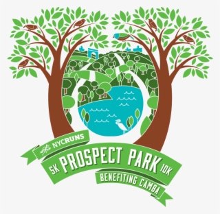 Nycruns Prospect Park 5k & 10k - New York City