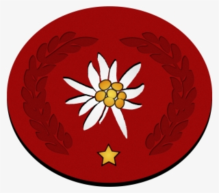 Edelweiss-auszeichnung 1 Stern - Edelweiss Pirates Logo