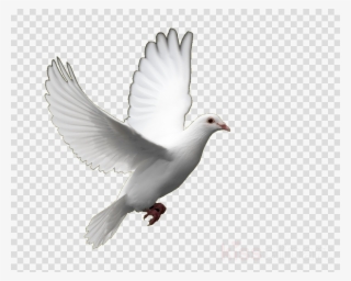 Christmas Tree Png In Ribbon