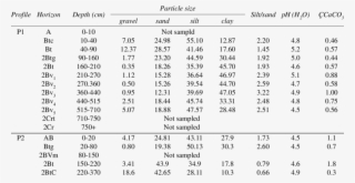 The Main Physical And Chemical Features - Tabla Del 2 Hasta El 60